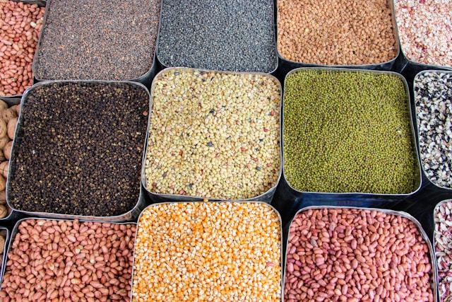 Forage and Oil Seeds