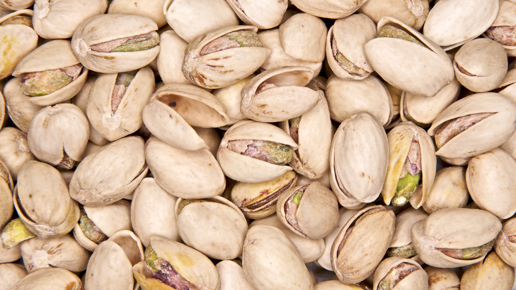 Premium Cashew Nuts